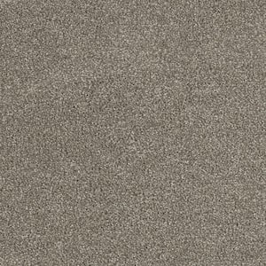 Moonlight  - Afterglow - Gray 32 oz. SD Polyester Texture Installed Carpet