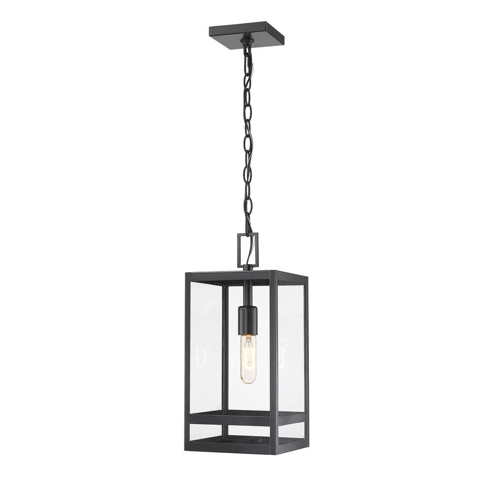 Nuri 1-Light Black Outdoor Chandelier with Clear Glass Shade