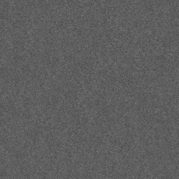 Lifeproof Coastal Charm I - Color Armor Gray 42 oz. Nylon Texture Installed Carpet