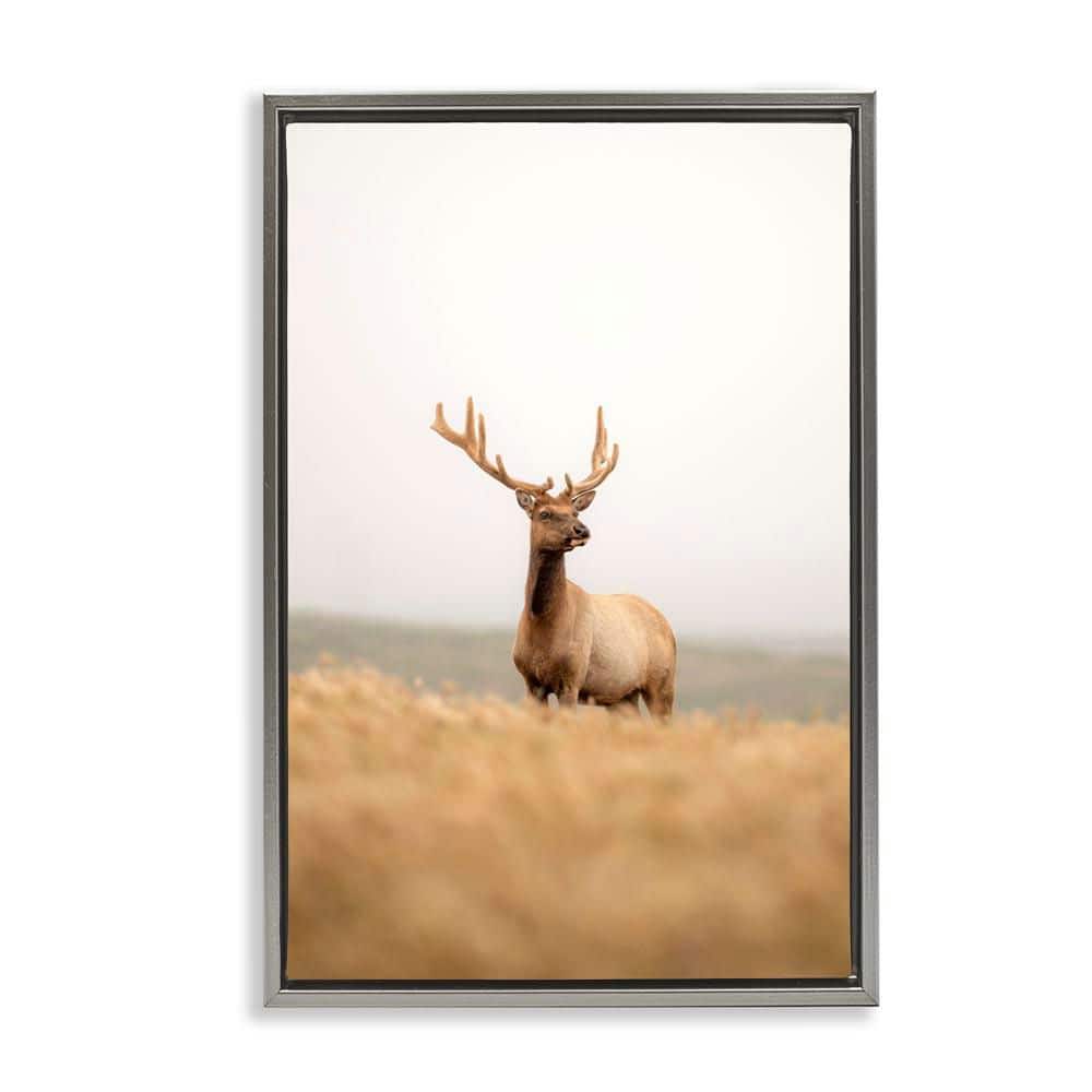 UPC 199235143313 product image for Stoic Tule Elk by Crystal Lynn Collins Gray Floater Frame Nature Graphic Art Pri | upcitemdb.com