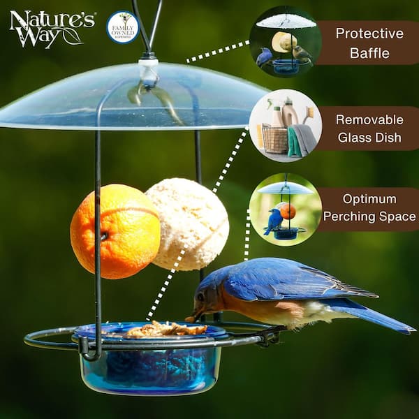 Nature's Way Bluebird Buffet 3/4 Cup BBFM1-CP1 - The Home Depot