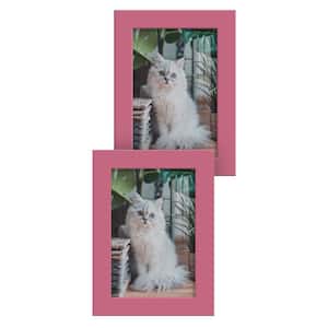Modern 5 in. x 7 in. Hot Pink Picture Frame (Set of 2)