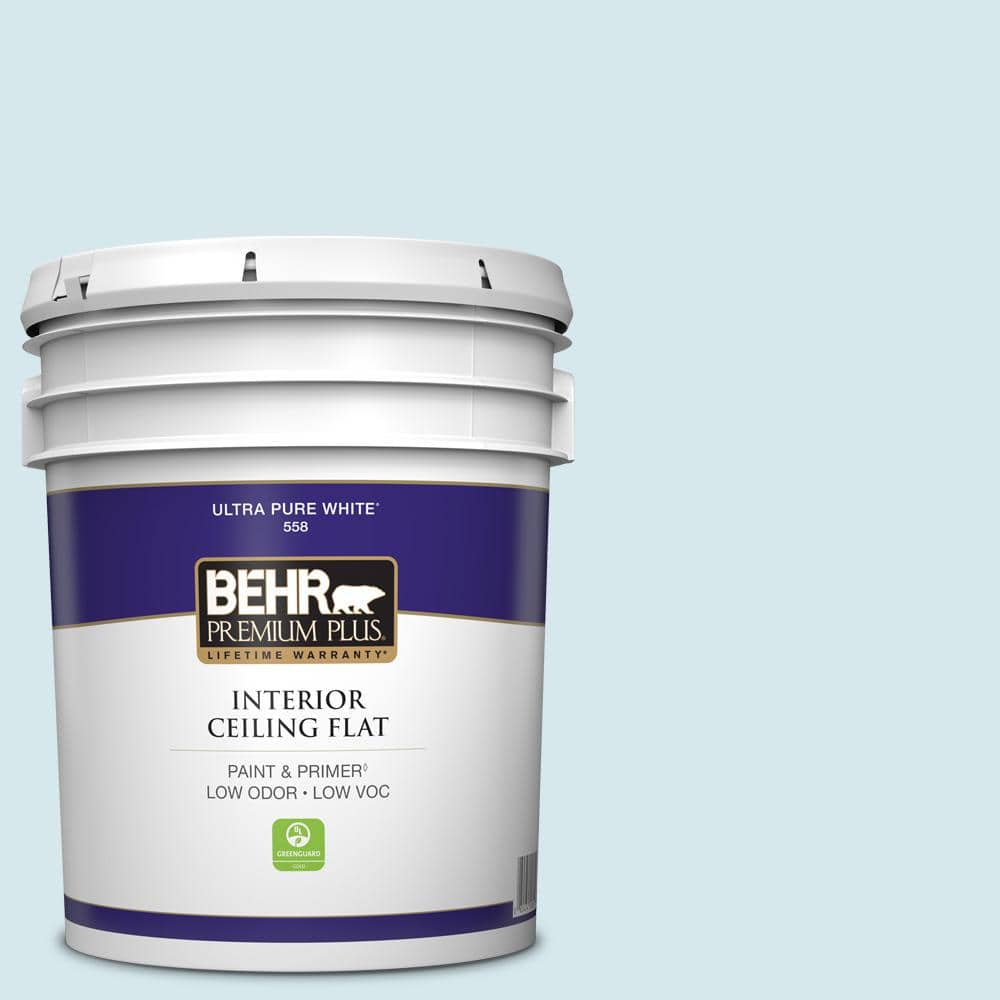 5 gal. #S490-1 Permafrost Ceiling Flat Interior Paint price history on PriceWatchPro