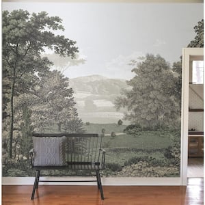 Morning Light Scenic Pastures Non Woven Premium Peel and Stick Wall Mural Peel and Stick Wall Mural