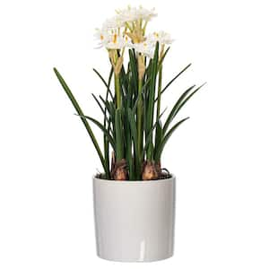 16.5 in. White Artificial Daffodil Amaryllis Floral Arrangement in Ceramic Pot