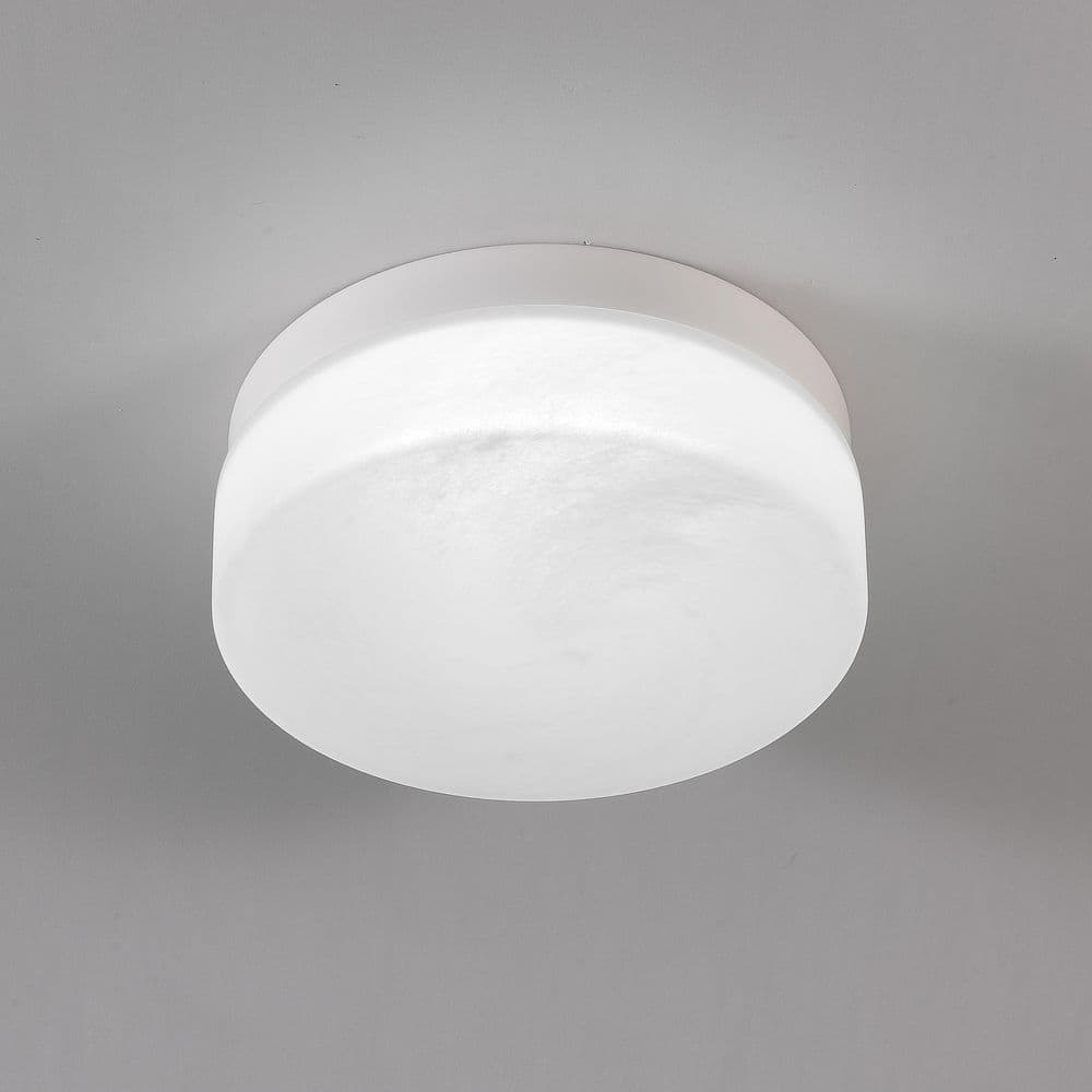 24W 5CCT 11.4 in. White and Frosted White LED Flush Mount Ceiling Light Fixture with Frosted Glass Shade price history on PriceWatchPro