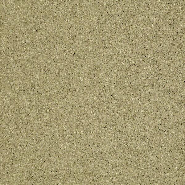 Home Decorators Collection Carpet Sample - Cressbrook I - In Color Willow 8 in. x 8 in.