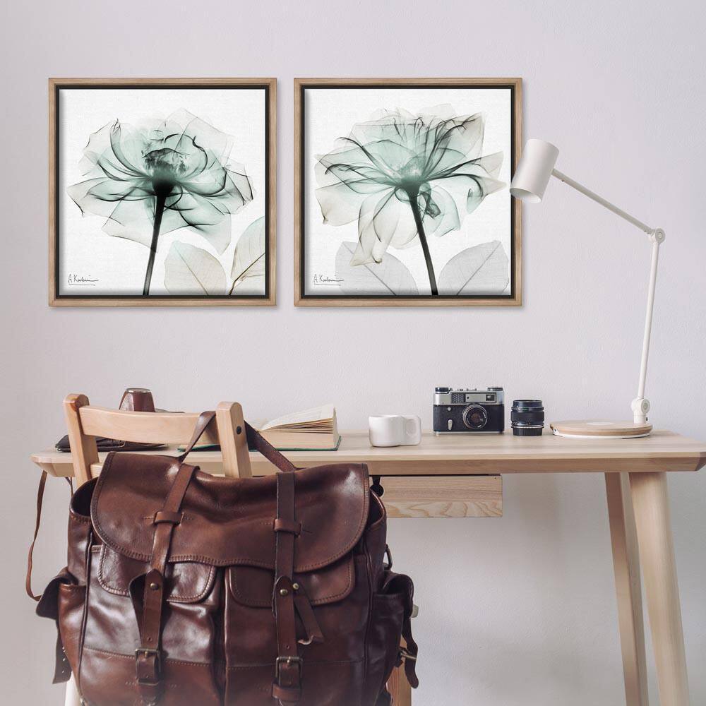 Serene Emerald Rose by Albert Koetsier 2-Piece Brown Floater Frame Nature Graphic Art Print 25 in. x 25 in. price history on PriceWatchPro