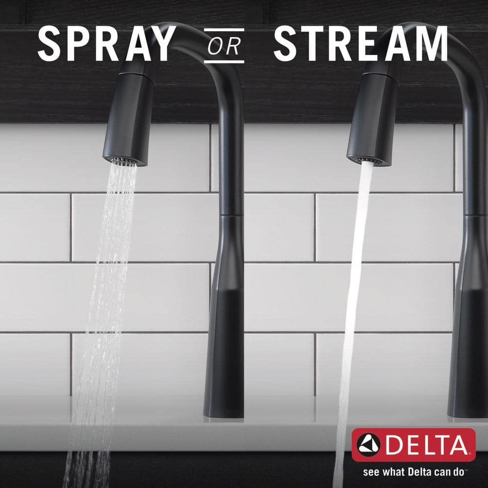 Matte Black Stainless Steel Pull-Out Spray Kitchen Faucet