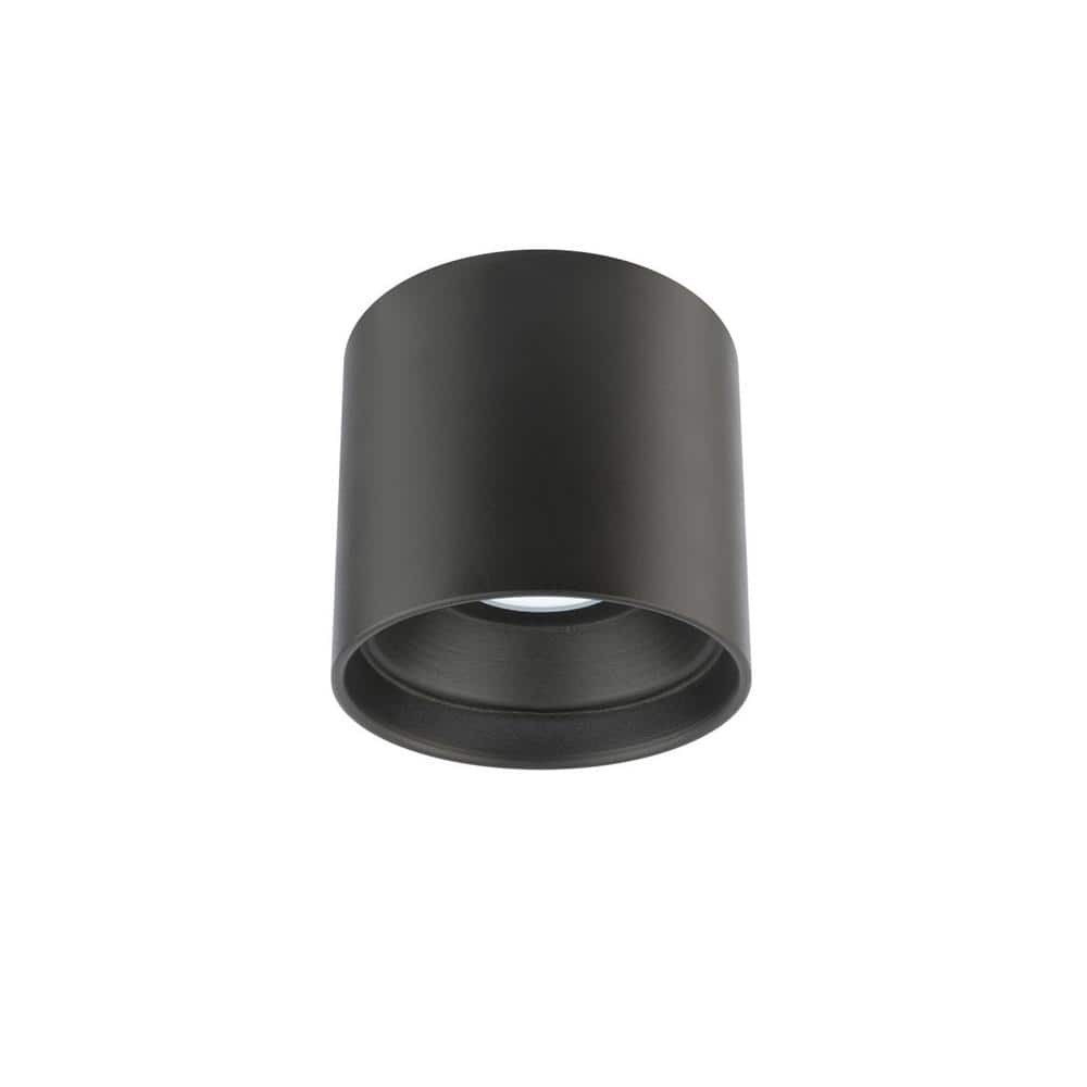 Black Glass LED Indoor/Outdoor Flush Mount Light