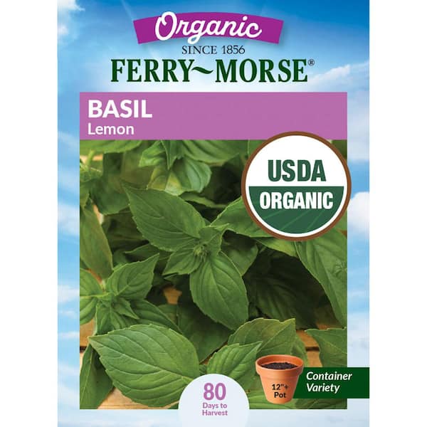 Organic Basil Lemon Herb Seeds