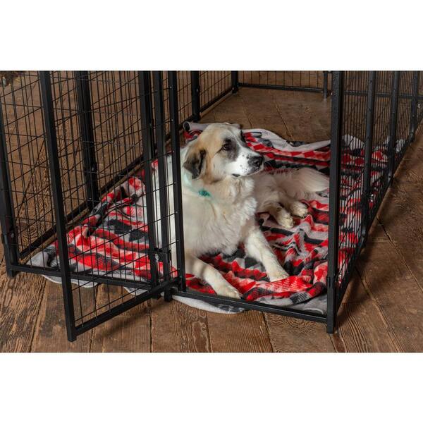 cl dog crate