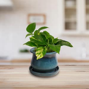 6.5 in. Blue Solid Bell Ceramic Planter