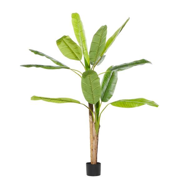 banana tree discount code
