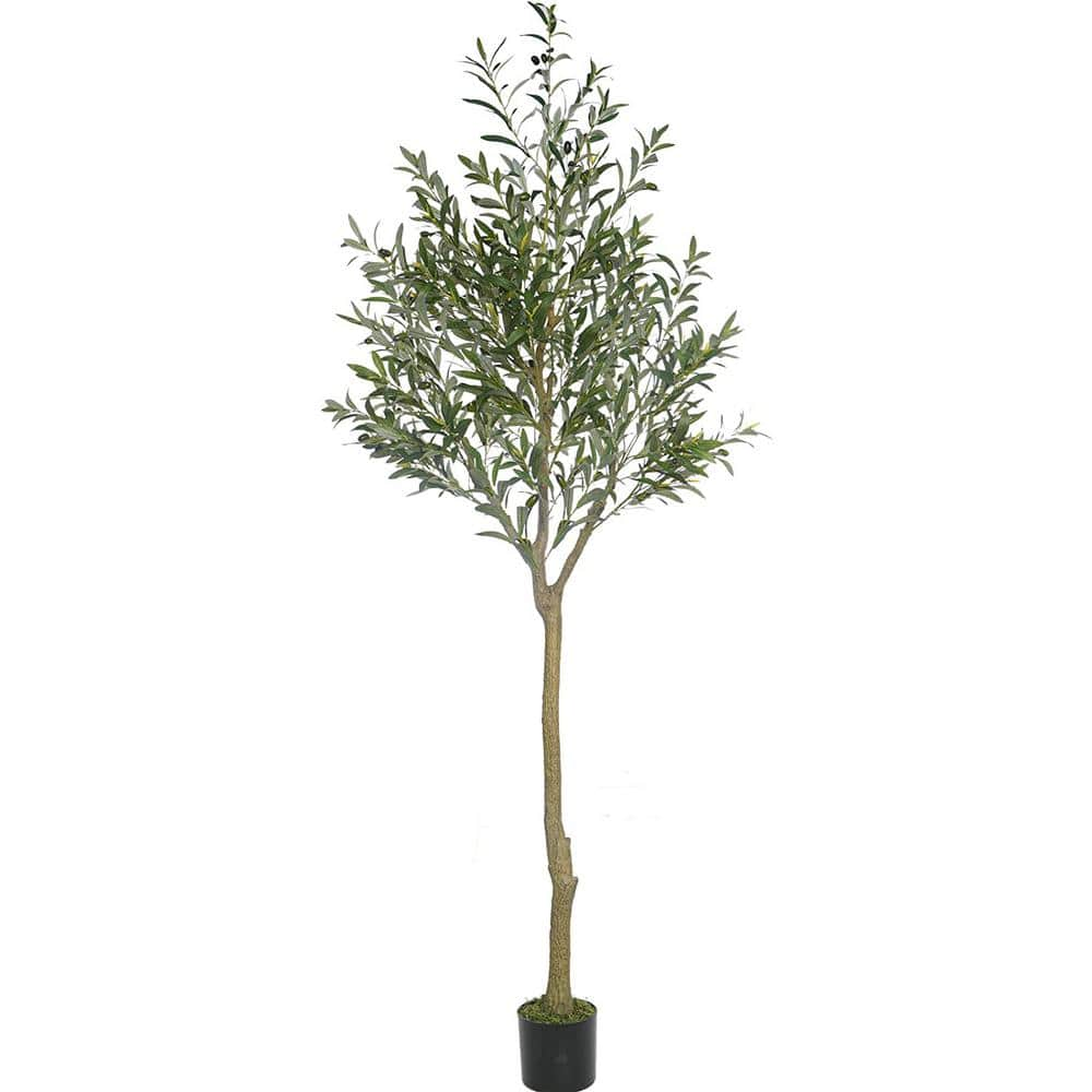 8Ft Olive Tower tree – California Silk Plants Company