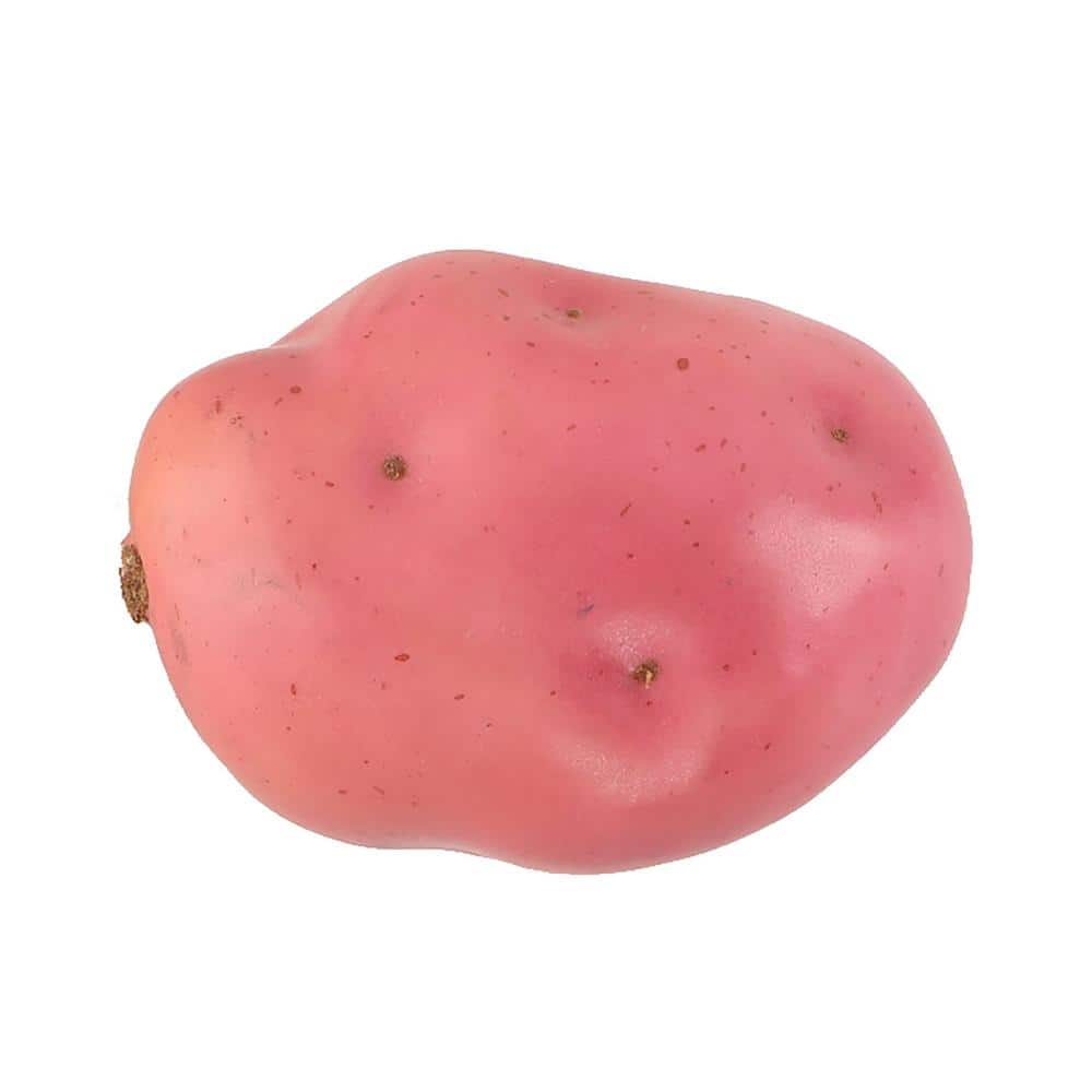 Flora Bunda Set of 6 Artificial Large Red Potato