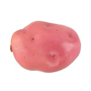 Set of 6 Artificial Large Red Potato