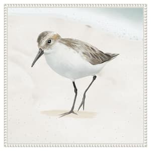 Sandpiper on the Beach II by Lucca Sheppard 1-Piece Floater Frame Giclee Animal Canvas Art Print 22 in. x 22 in.