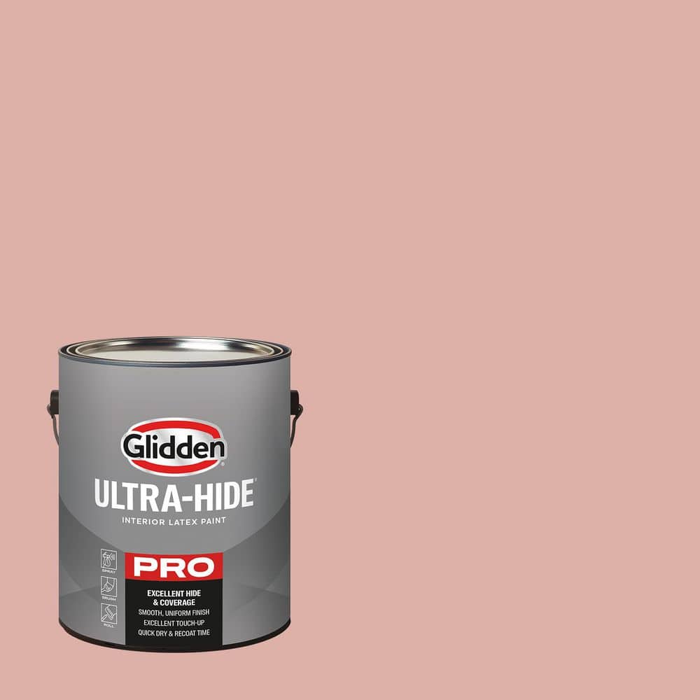 1 gal. PPG1058-4 Mesa Pink Eggshell Interior Paint price history on PriceWatchPro