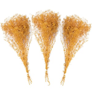 23 in. Yellow Dried Natural Baby's Breath Banana (3-Pack)