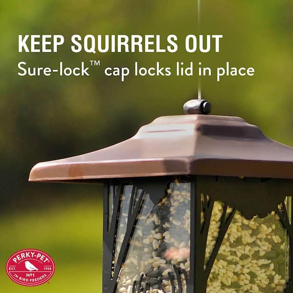 Wilderness Lantern Hanging Bird Feeder - 2 lb. Capacity
