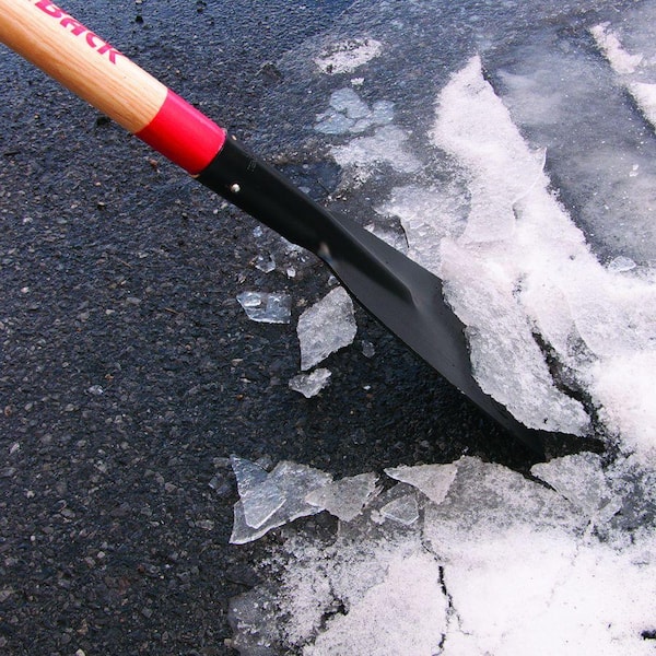 8 in. Forged Sidewalk Scraper