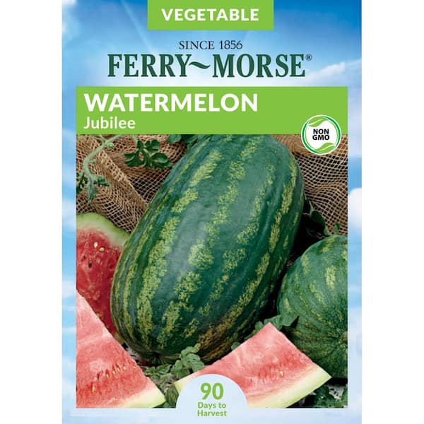 Jubilee Watermelon Seeds 20 SEEDS SAME DAY SHIPPING