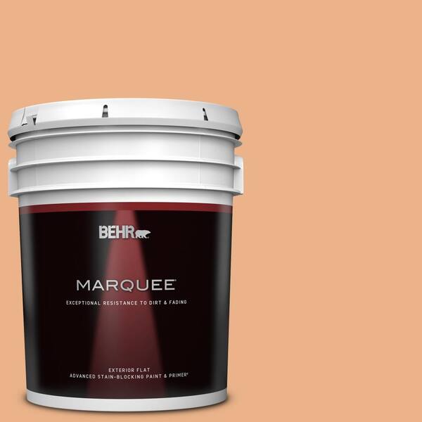 BEHR MARQUEE 5 gal. #M220-4 Trick Or Treat Flat Exterior Paint & Primer