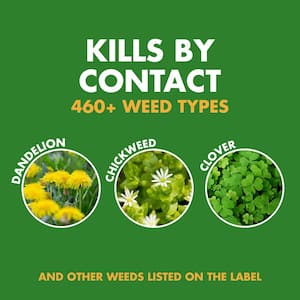 Weed Stop for Lawns 32 oz. Concentrate Lawn Weed Killer