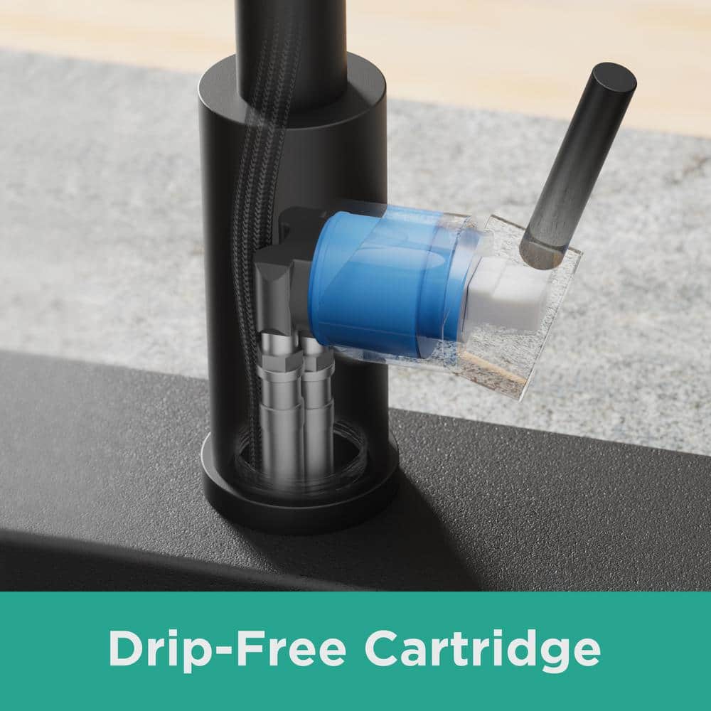 Matte Black Stainless Steel Pull Down Kitchen Faucet with Deck Plate