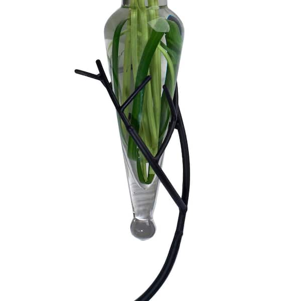 MC790-C Danya B Amphora Vase Twig Sconce Clear 5/8/12 