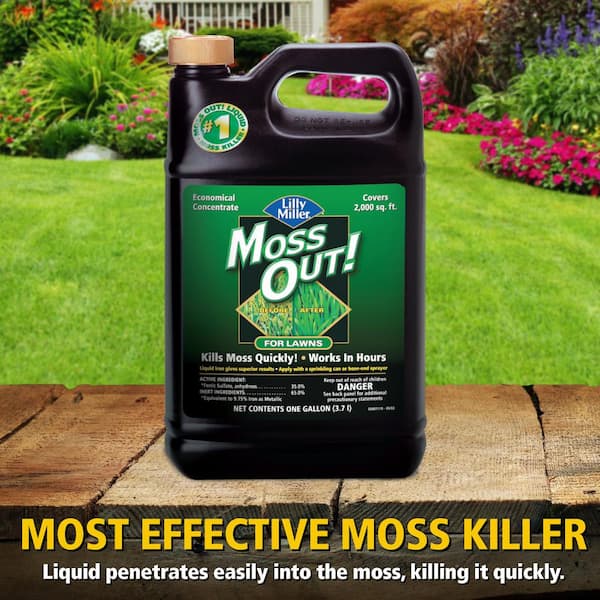 Moss Out! 1 Gal. Moss Out! Moss Killer for Lawns 100099156 - The Home Depot