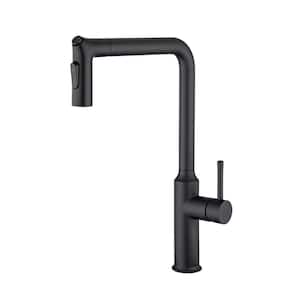 RX6013H Single Handle Pull-Down Sprayer Kitchen Faucet in Matte Black