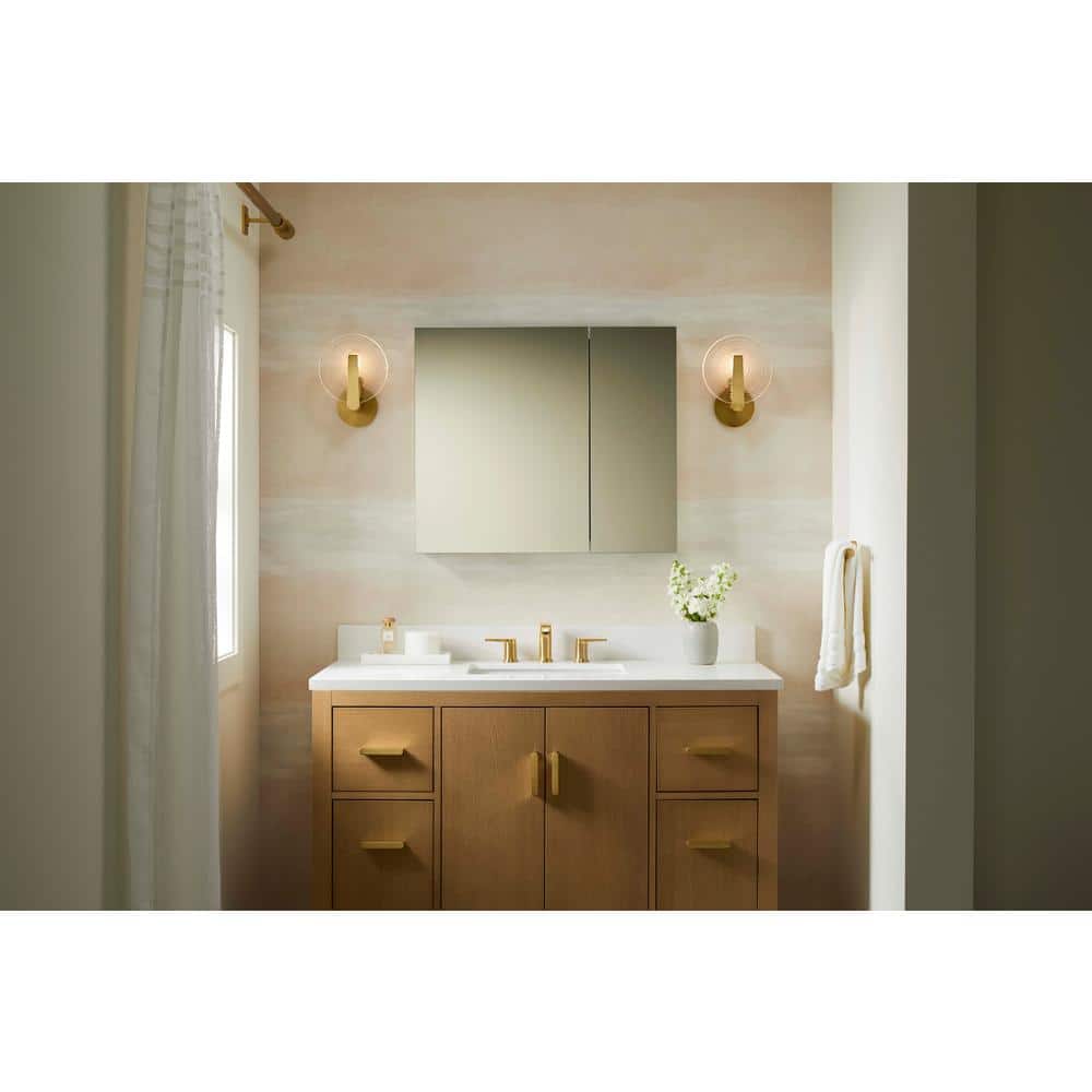 Embark 30" x 26" Anodized Aluminum Dual Swing Medicine Cabinet