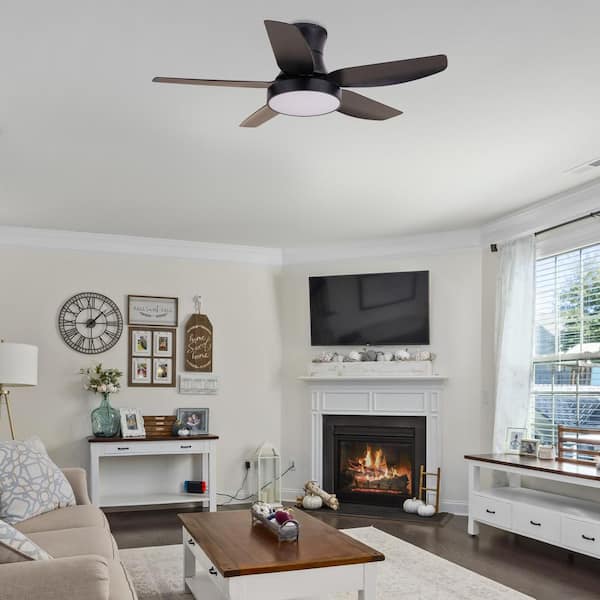 CACCISUN 20inch Smart Ceiling Fan with Lights Remote APP Control Modern Flush Mount Bladeless Ceili CACCISUN 27\" Smart Ceiling Fan with Lights and Remote, Modern Flush Mount  Enclosed Ceiling Fan, Low Profile Dimmable Indoor Ceiling Fan Light for