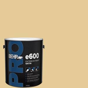 1 gal. #M320-4 Abstract Satin Exterior Paint