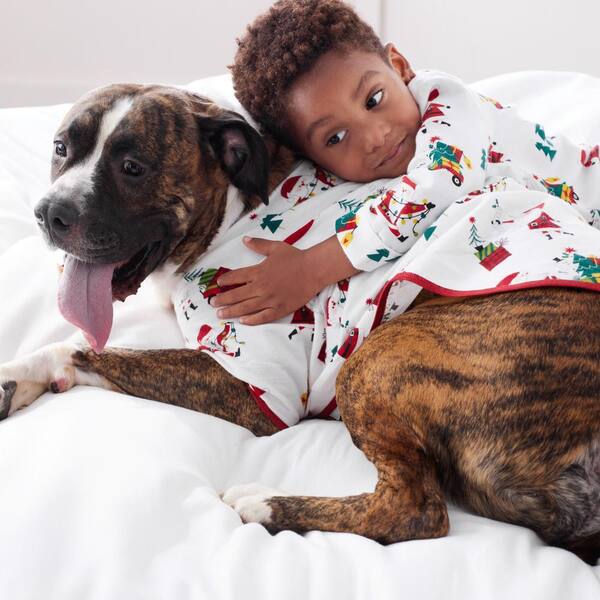 Dog and discount human pajama set