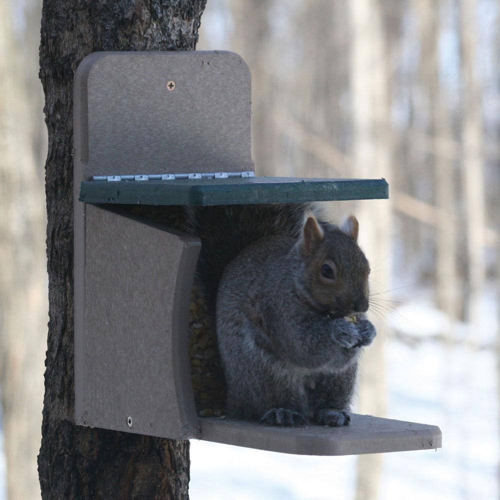 Taupe and Green Recycled Plastic Squirrel Feeder with Hinged Roof