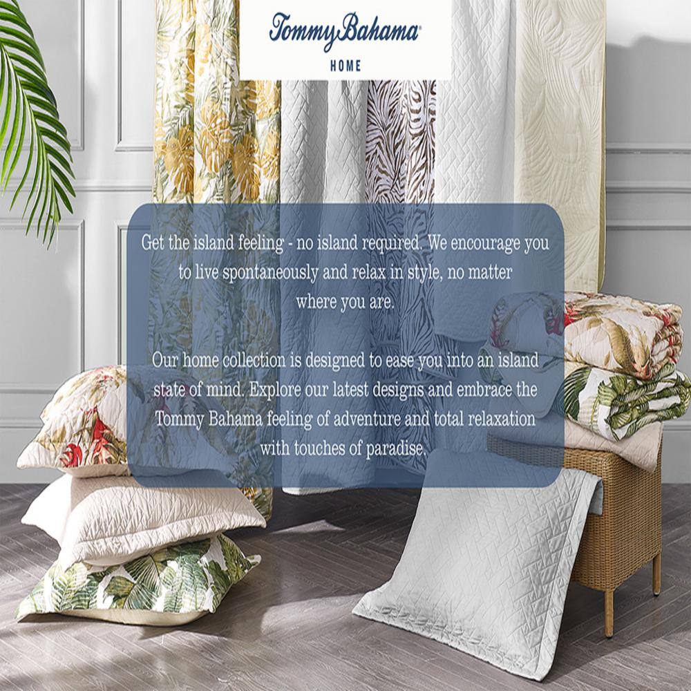 Gray King Cotton Reversible Quilt Set with Fern Design