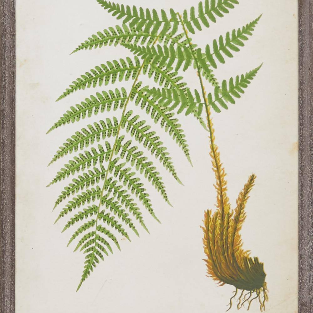 Oversized Vintage Green Fern Botanical Wall Art on Canvas
