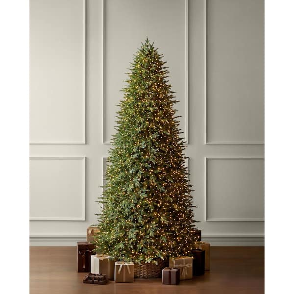 12 ft SMART Grand Duchess Twinkling Balsam Fir LED Pre-Lit Tree T39