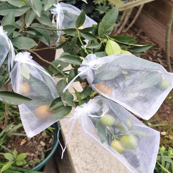 Breathable Light‑Transmitting Series, White, Reusable Grocery Bag, 8×12 in. Organza Mesh Fruit Bags, Set of 100 Pcs