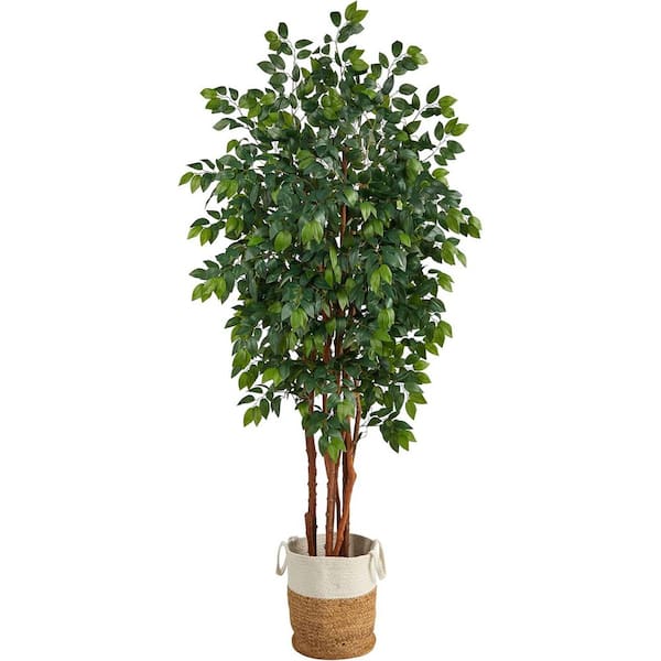 7ft. Sakaki Artificial Tree in Handmade Jute and Cotton Planter