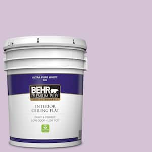 5 gal. #M100-2 Seedless Grape Ceiling Flat Interior Paint