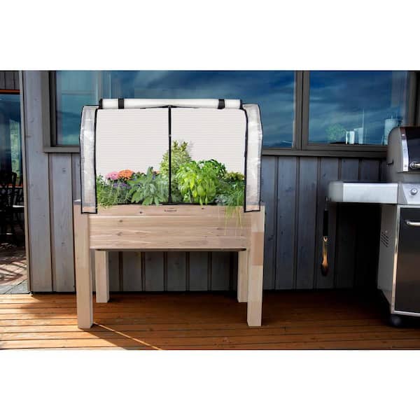 lowe's fiddle leaf fig Large Fiddle Leaf Fig (bush) main image 1