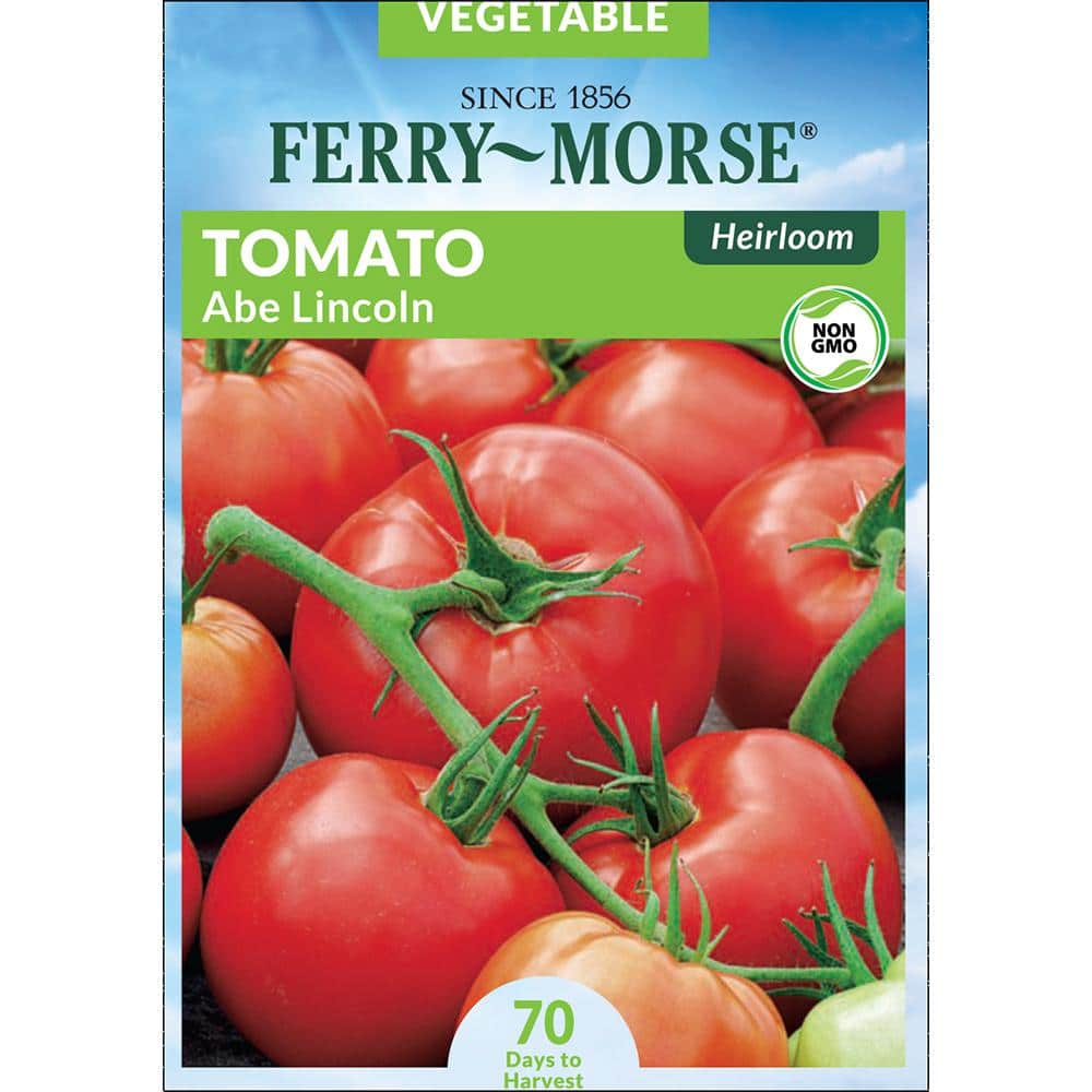Ferry Morse 200mg 12/21 Tomato Abe Lincoln Heirloom Vegetable Seeds 