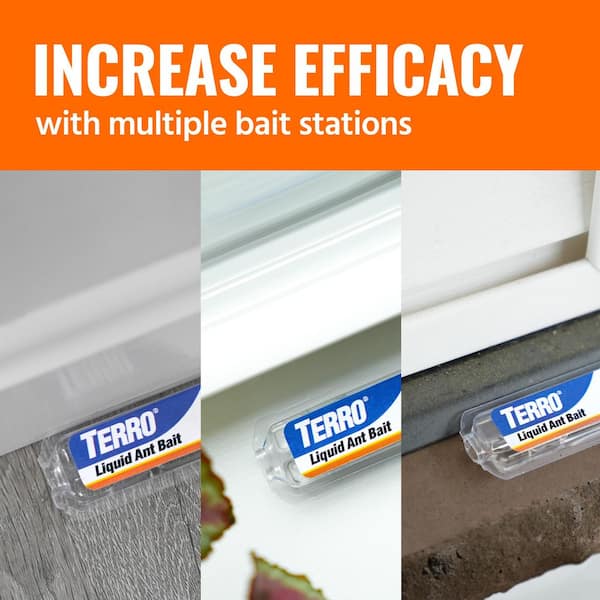 TERRO Ant Bait Station 6 pk