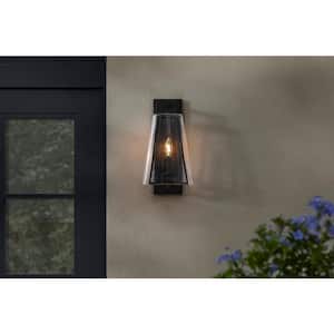 Siobhan 15.5 in. 1-Light Black Outdoor Wall Light Fixture with Clear Glass