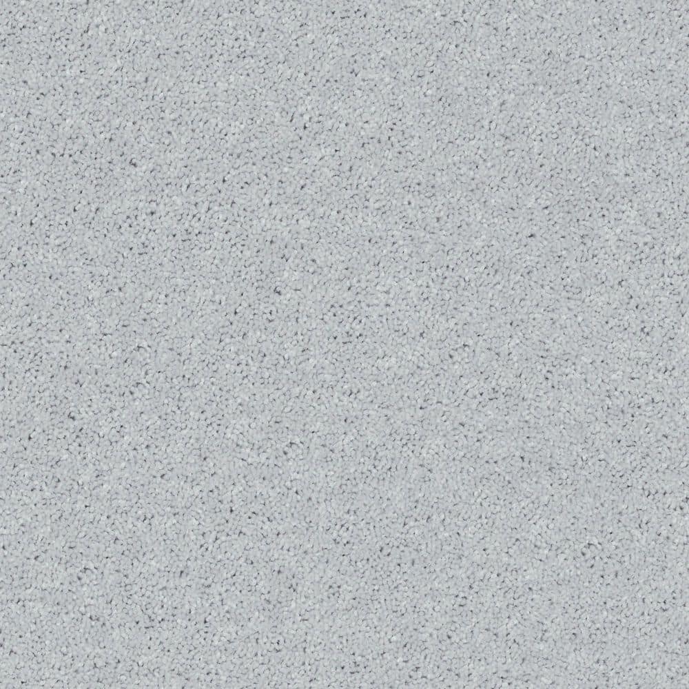 8 in. x 8 in. Texture Carpet Sample - Cottage Comforts - Color Silver Fox price history on PriceWatchPro