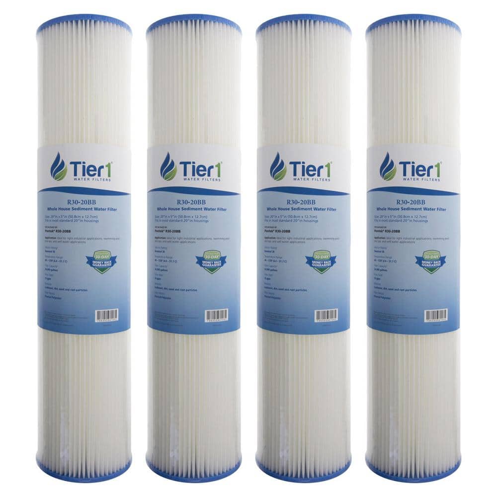 Pentek R30 Polyester 10" Sediment Water Filter 30 Micron 2-PACK 